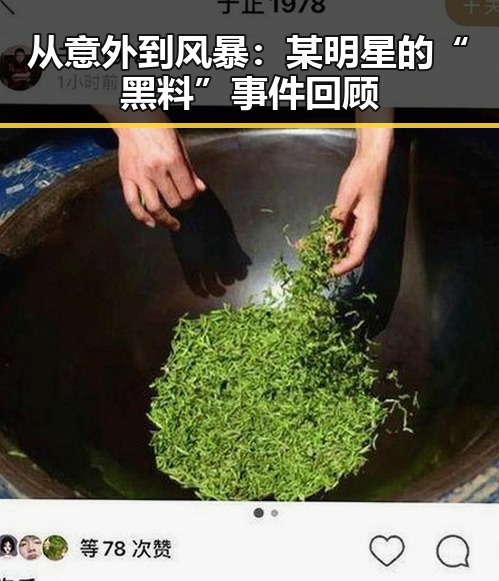 从意外到风暴：某明星的“黑料”事件回顾