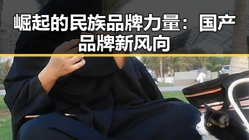 崛起的民族品牌力量：国产品牌新风向