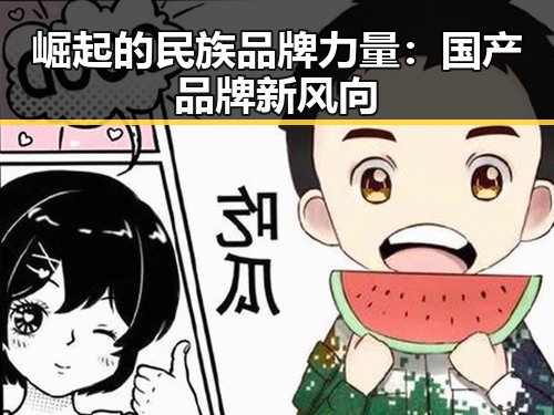 崛起的民族品牌力量：国产品牌新风向