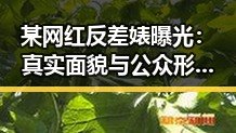某网红反差婊曝光：真实面貌与公众形象的巨大反差
