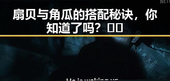 扇贝与角瓜的搭配秘诀,你知道了吗?🍽️