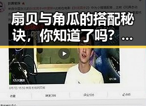 扇贝与角瓜的搭配秘诀,你知道了吗?🍽️