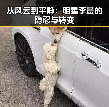 从风云到平静：明星李晨的隐忍与转变